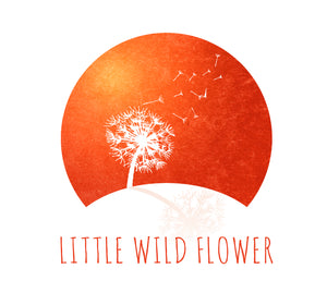 Little Wild Flower Clothing
